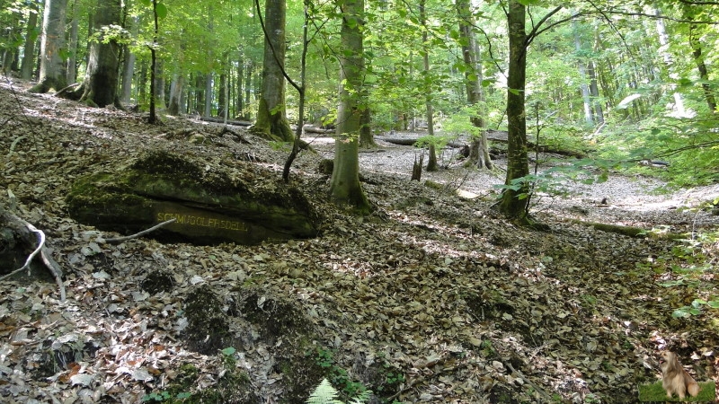 Ritterstein Nr. 177-3 Schmugglersdell.JPG - Ritterstein Nr.177 Schmugglersdell